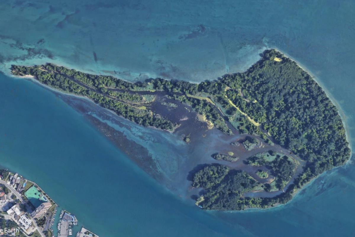 Aerial View of Peche Island